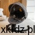 8ab6e5fdb25a9516f83bb8841f72b388.jpg