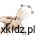 1a1b54ac6a0541b289e8cfdb198516b4.jpg