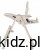 258ac111da586b4a660b9ee38a6e982e.jpg