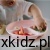 699576a9b8db0bb669b06102abdf7f46.jpg