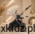05df65241920226bff91c81989fc1ec7.jpg