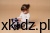 173459bf64e2fb446498b49488d05738.jpg