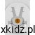 Lorelli ZOZU Grey - pasy pięciopunktowe