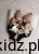 cec7cf27ce02f4443bf6b9bed8fa06dc.jpg