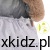 1071b108835450a0b5178c9cce7dbab9.jpg