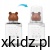 a84aa6a9498f97b54cc7e577767a38e0.jpg