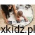 3d9dd2b5487b051ba0da70a38acf6cbb.jpg