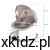 b1afcf5b4e869aabbb3834de88daec40.jpg