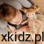 Lalka przytulanka szmacianka BabyOno Lucy 31 cm - twarz i włosy lalki z bliska