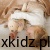 Termofor z pestkami wiśni Babyono piesek Cherry - miękkie futerko przytulanki z bliska