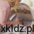 d35b3d5220d2e0b967d42dbfb9e982f3.jpg