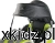 hippo_6.webp