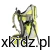 hippo-2-scaled.webp