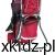 koala_6-scaled.webp