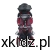 koala_4-scaled.webp