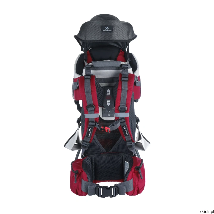 koala_4-scaled.webp