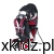 koala_3-scaled.webp