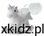 9c8db4d60cfdb157fe8b7107e2b772d1.jpg
