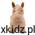 e3f3f52f7250574d99a6f87382773bb7.jpg