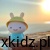 a0100400422ade689813e1dc676b72d2.jpg