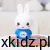 Alilo Big Bunny G7C niebieski - miękkie silikonowe uszy do gryzienia