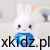f13e0ab03bf79e715cfcc80247d5f60a.jpg