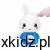 dd16d6ee8ac662382838c293d49229ad.jpg