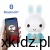 Alilo Honey Bunny G6 PRO turkusowy - lampka nocna LED w jednym z 7 kolorów