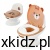 PRIMABOBO-Nocnik-interaktywny-MIS-dla-dzieci-nocniczek-SPLUCZKA-WKLAD-EAN-GTIN-5904905020376