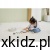 accceac6fd5dc8fb84af204fdbe68245.jpg
