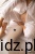 1e078651a19f7f1318ee93616dfe7c5a.jpg