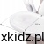 b0802866c29f7ddb3c7973049e6ba384.jpg