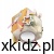 597fd1d680fd9589afda8c75cf8c237b.jpg